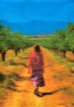 128bc45b 890c 403e a898 7045436deae9