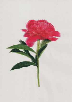 Whats App Image 2026 01 19 at 15 04 41 5