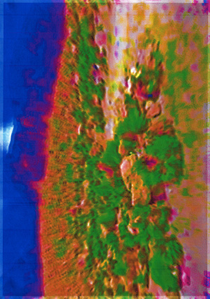 Joe Cruz last summer 10