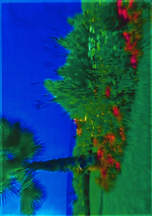 Joe Cruz last summer 5