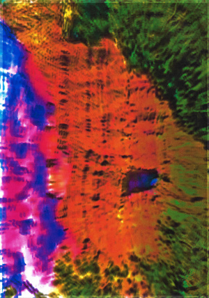 Joe Cruz last summer 9