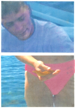 Bh 2 2 2024 03 21 164302 cdjr