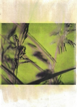 Tumblr pi8qwuoa Q71r0jcf5o1 1280