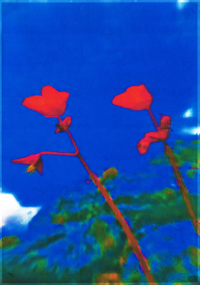 Joe Cruz Last summer 1