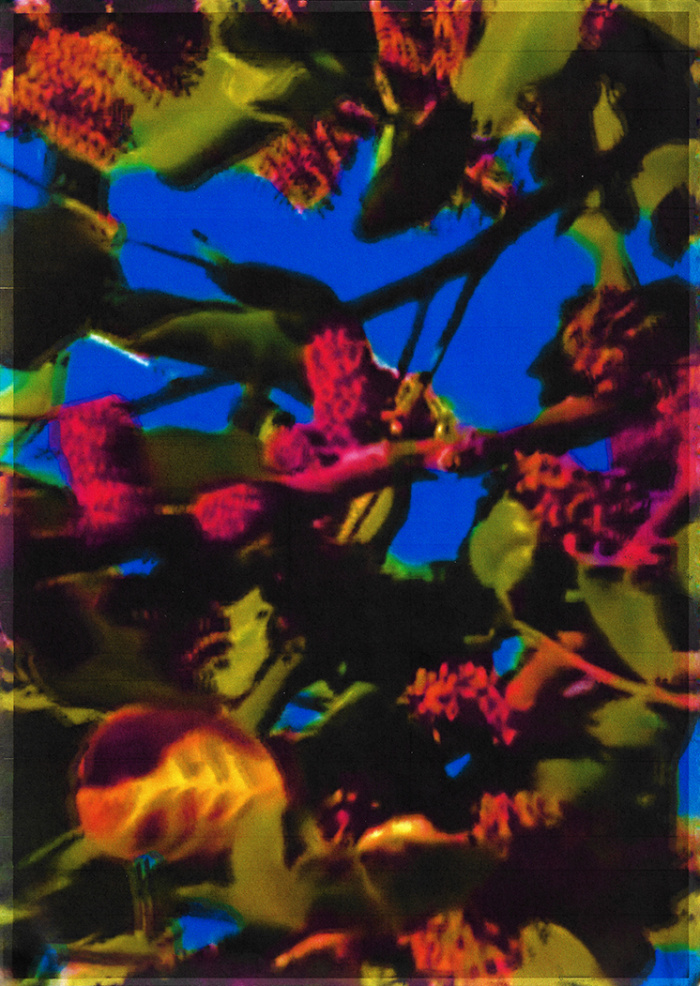 Joe Cruz last summer 8