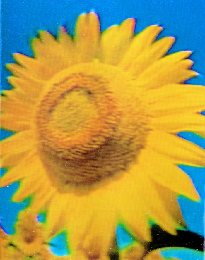 Joe Cruz x Sixteen 13