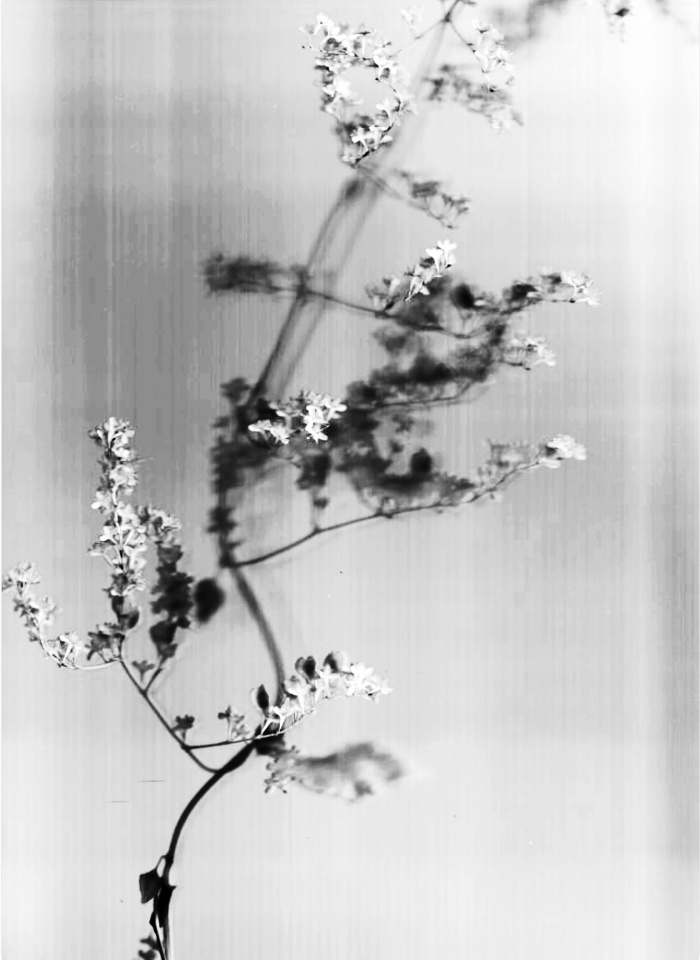 Screenshot 2019 10 05 at 16 30 52