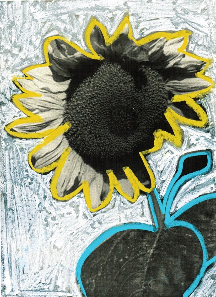 Sun flower21052019135459 s