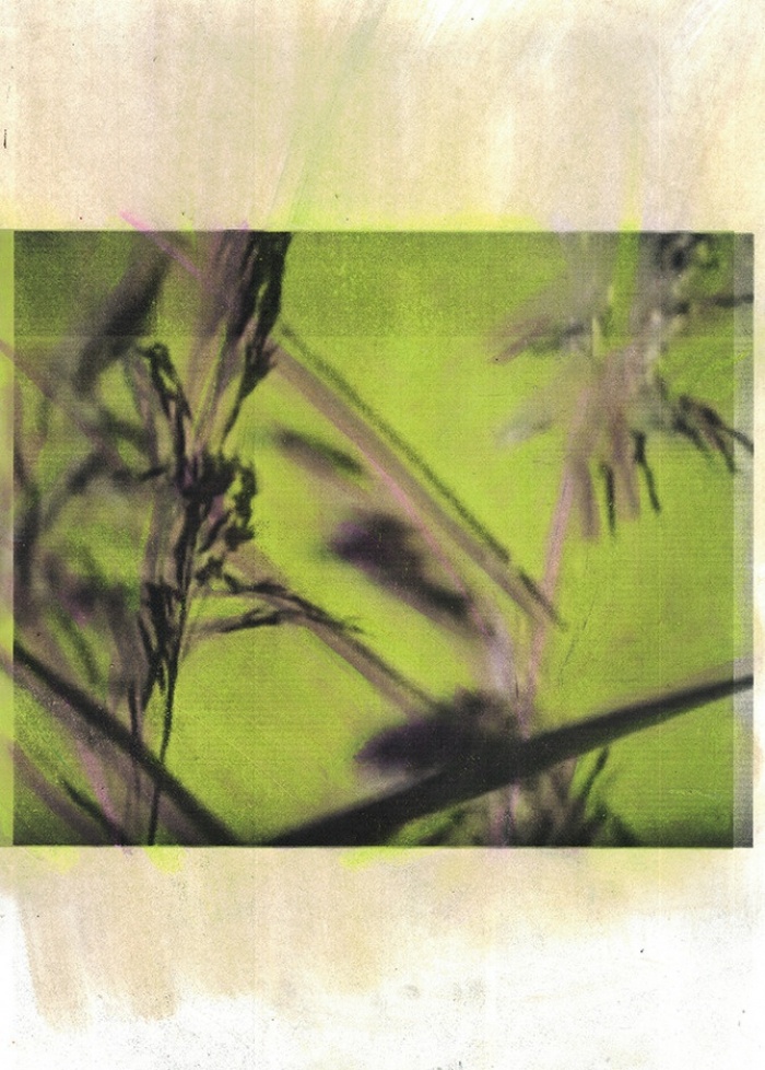 Tumblr pi8qwuoa Q71r0jcf5o1 1280